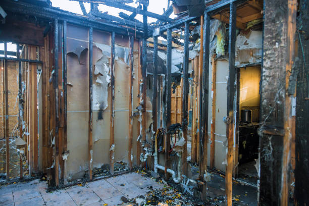 Professional Fire Damage Repair technician working in Clifton, TN